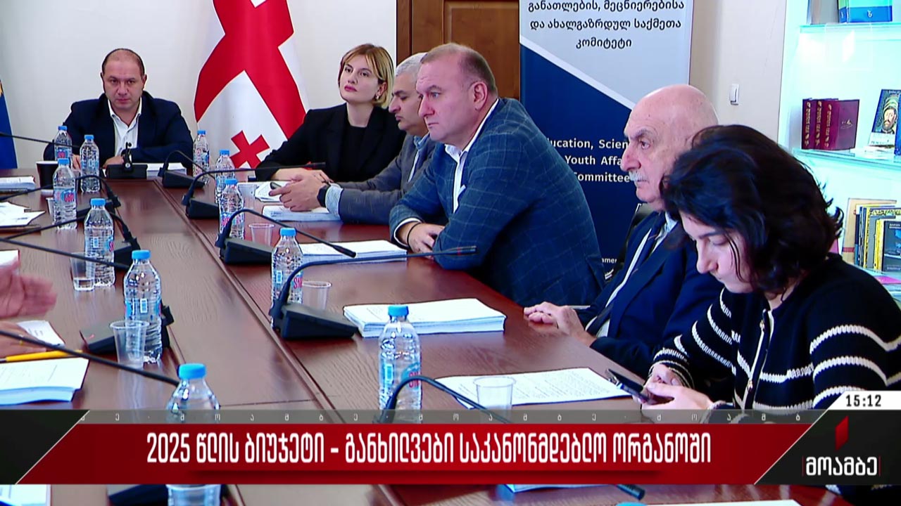 2025 წლის ბიუჯეტი - განხილვები საკანონმდებლო ორგანოში