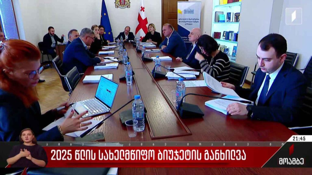 2025 წლის სახელმწიფო ბიუჯეტის განხილვა