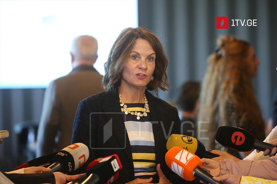 „საარჩევნო კომპასი 2024“ - პლატფორმის პრეზენტაცია / ელჩების განცხადება