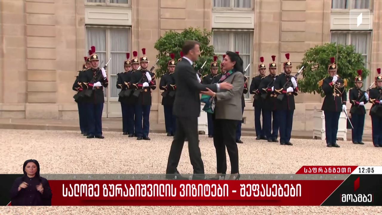 სალომე ზურაბიშვილის ვიზიტები - გამოხმაურება