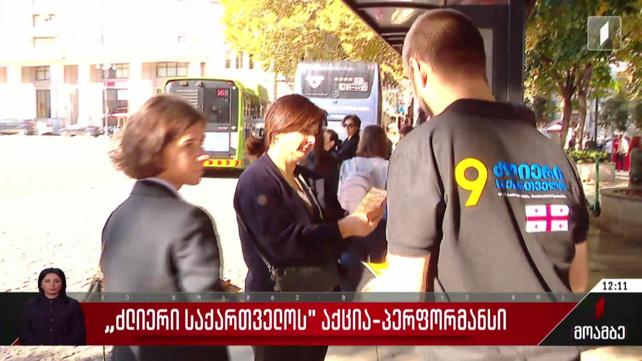 „ძლიერი საქართველოს“ აქცია-პერფორმანსი