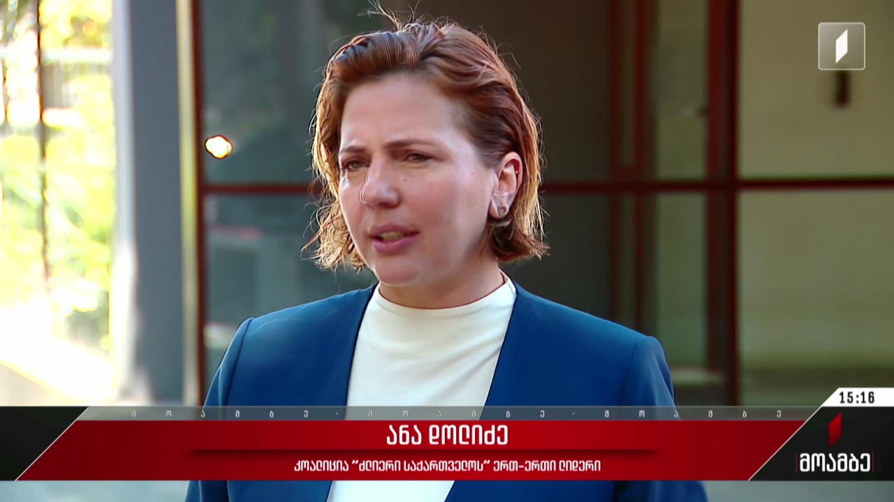 ანა დოლიძე პროკურატურას მიმართავს