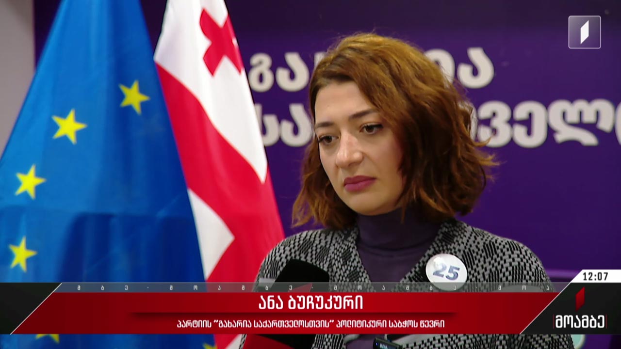 არჩევნები 2024 - დასავლელი აქტორების ჩართულობა