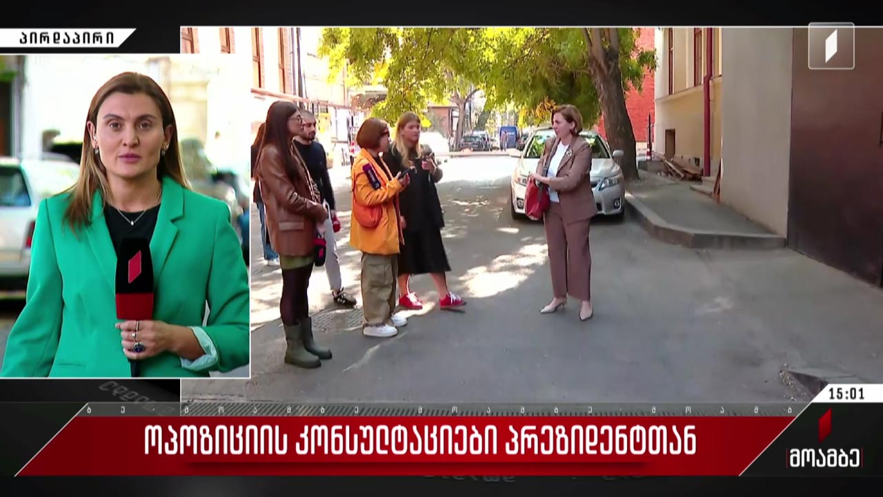 ოპოზიციის კონსულტაციები პრეზიდენტთან