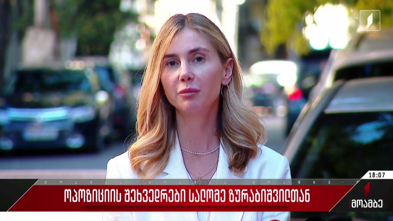 ოპოზიციის შეხვედრები სალომე ზურაბიშვილთან