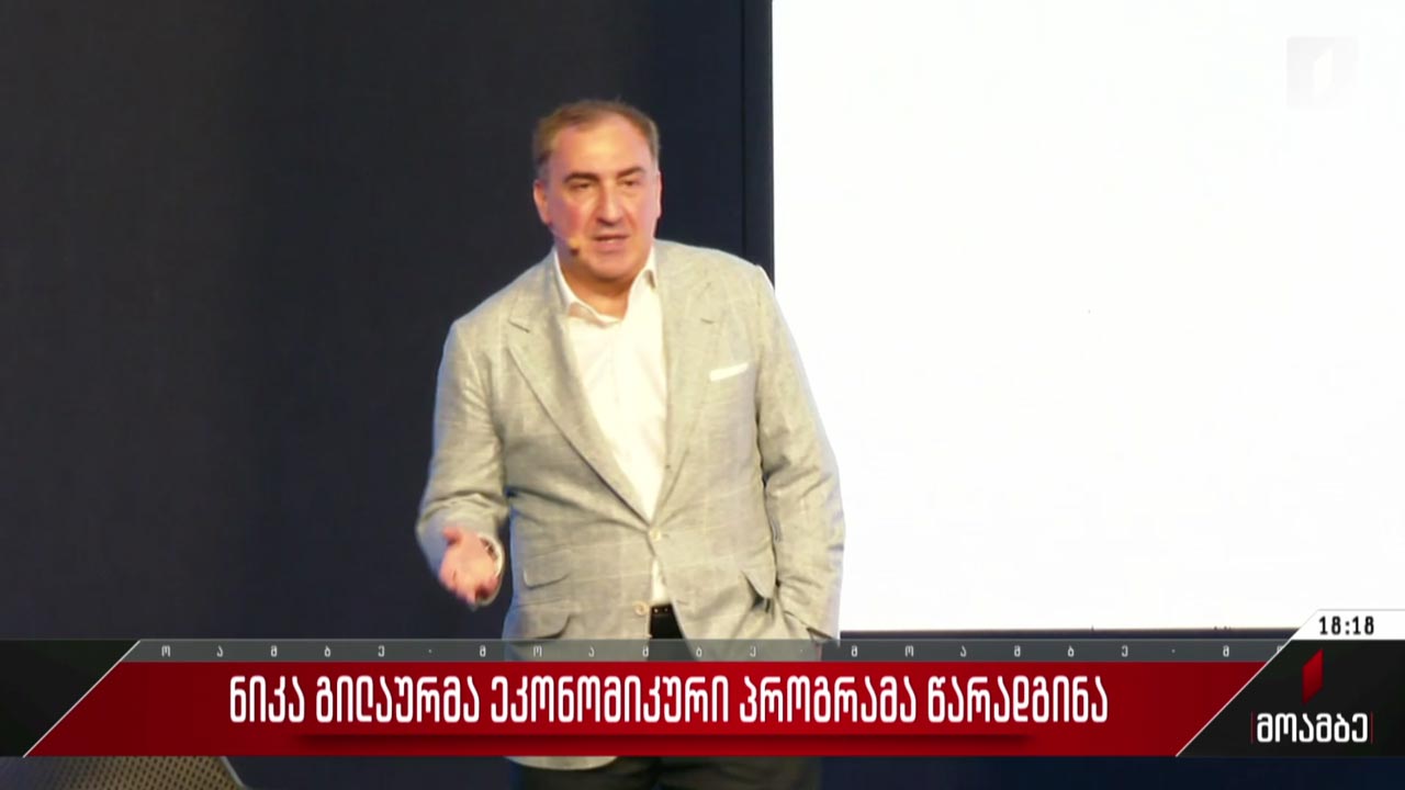 ნიკა გილაურმა ეკონომიკური პროგრამა წარადგინა