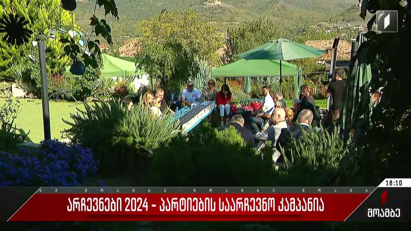 არჩევნები 2024 - პარტიების საარჩევნო კამპანია