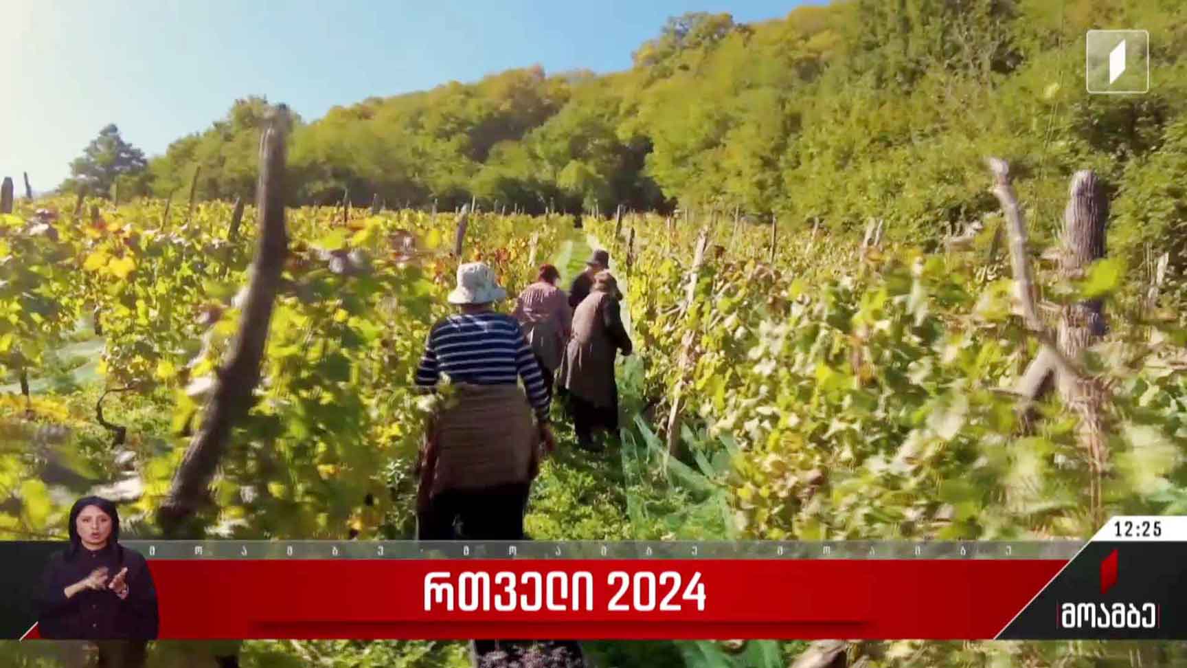 რთველი 2024