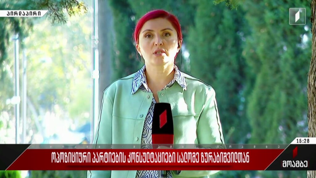 ოპოზიციური პარტიების კონსულტაციები სალომე ზურაბიშვილთან