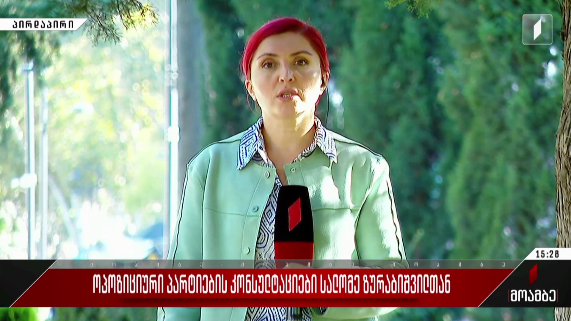 ოპოზიციური პარტიების კონსულტაციები სალომე ზურაბიშვილთან