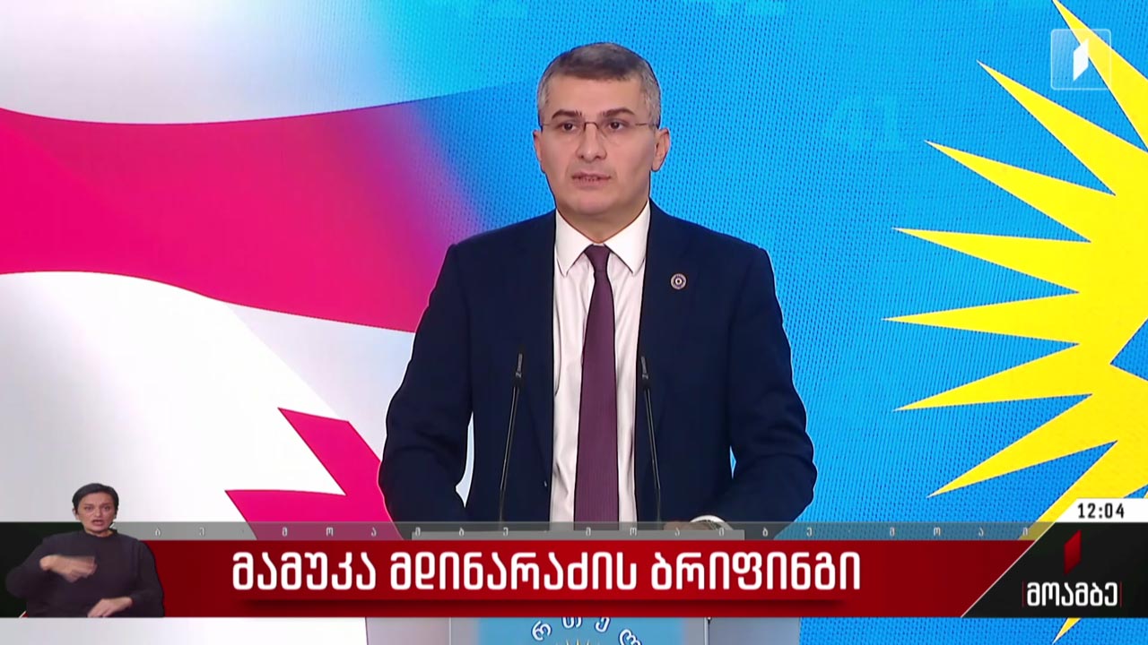 მამუკა მდინარაძის ბრიფინგი