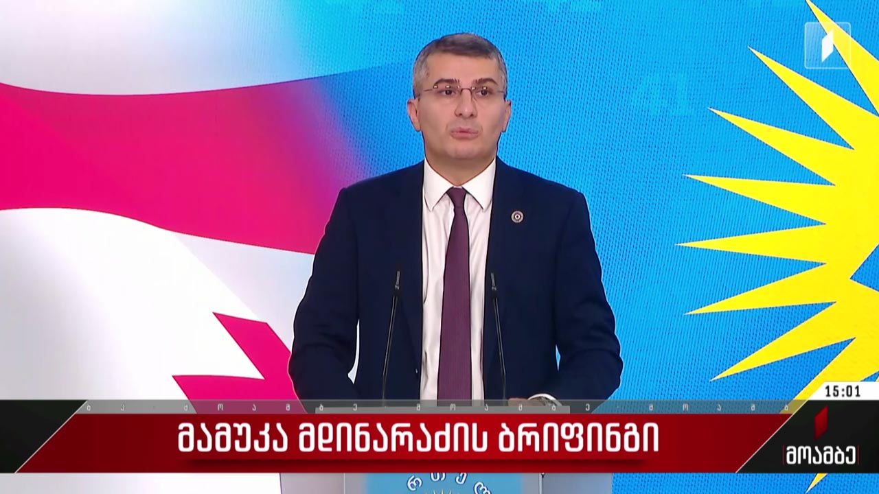 მამუკა მდინარაძის ბრიფინგი