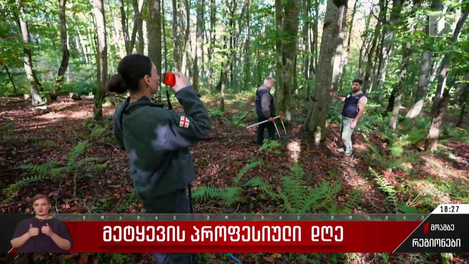 მეტყევის პროფესიული დღე