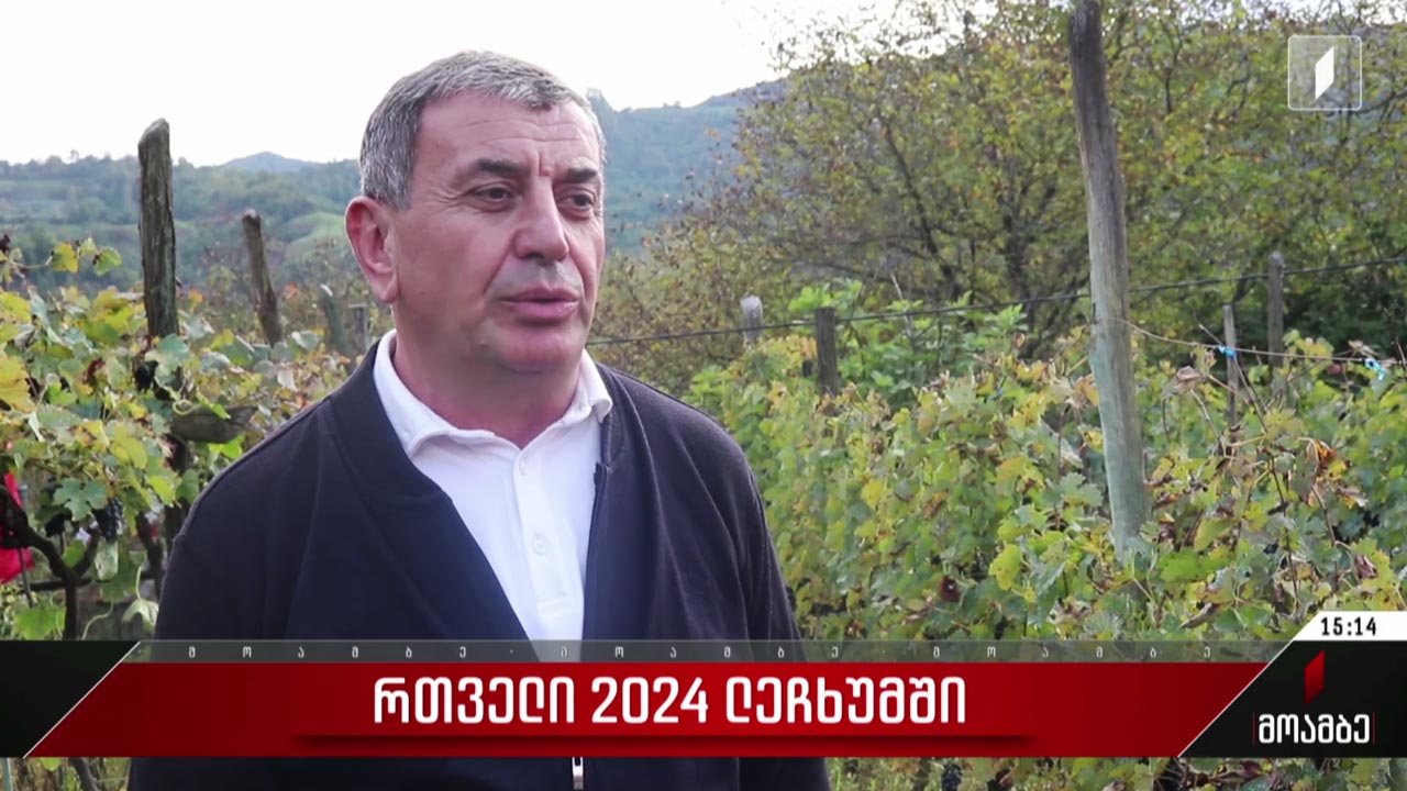 რთველი 2024 ლეჩხუმში