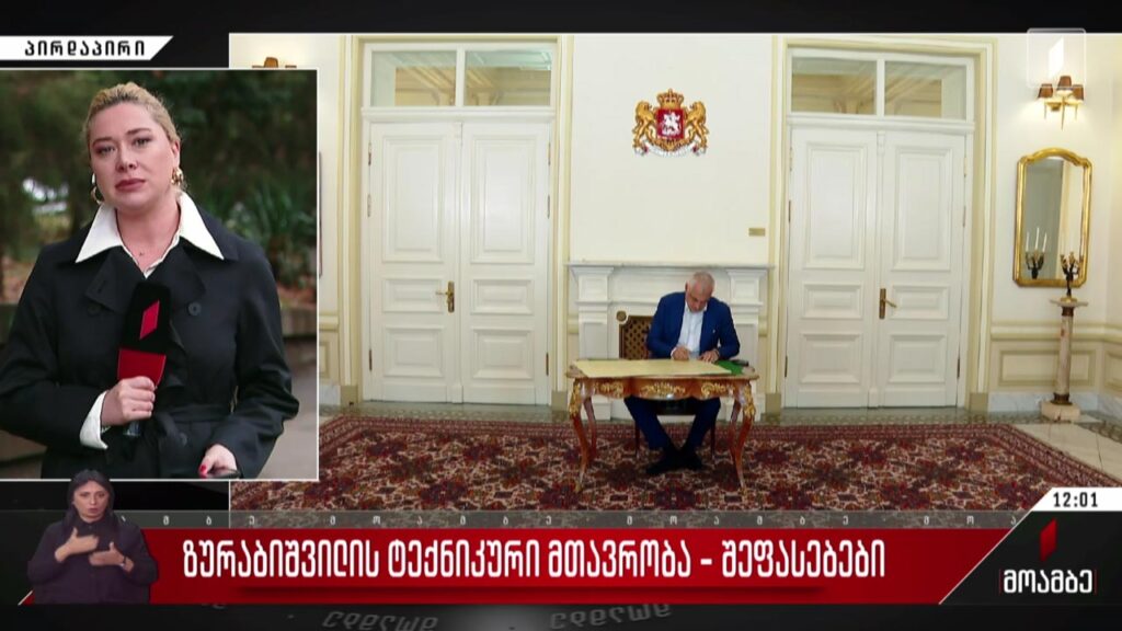 ზურაბიშვილის ტექნიკური მთავრობა – შეფასებები
