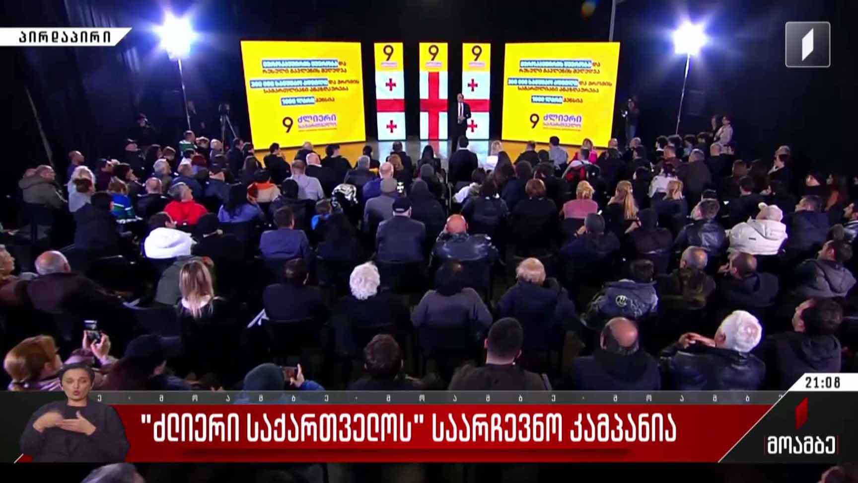 „ძლიერი საქართველოს“ საარჩევნო კამპანია