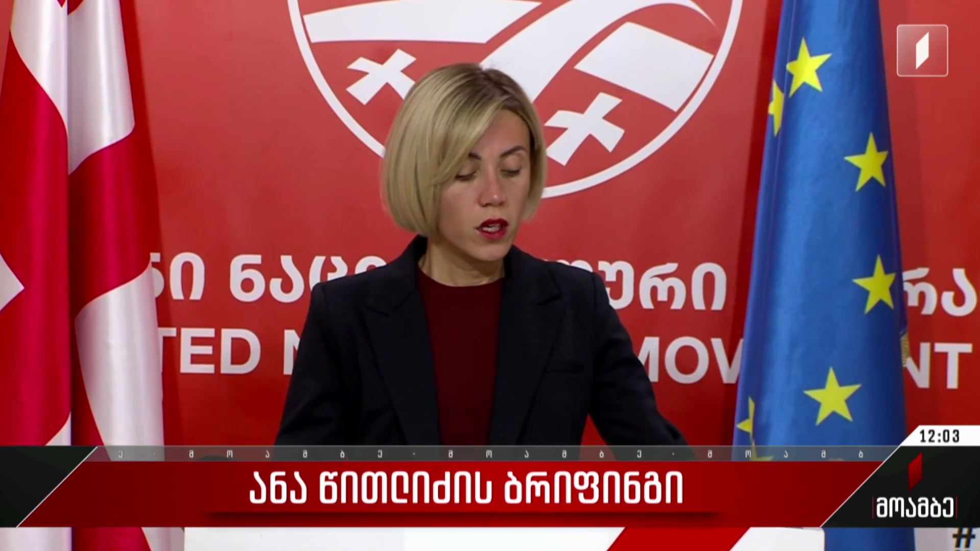 ანა წითლიძის ბრიფინგი