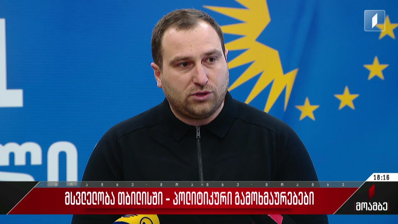 მსვლელობა თბილისში - პოლიტიკური გამოხმაურებები