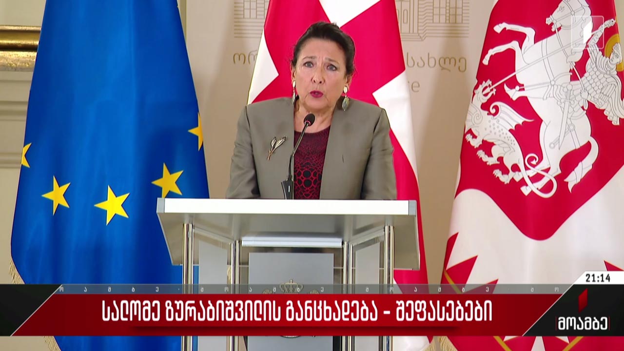 სალომე ზურაბიშვილის განცხადება - შეფასებები