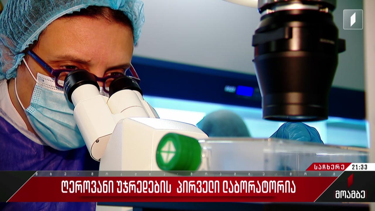 ღეროვანი უჯრედების პირველი ლაბორატორია