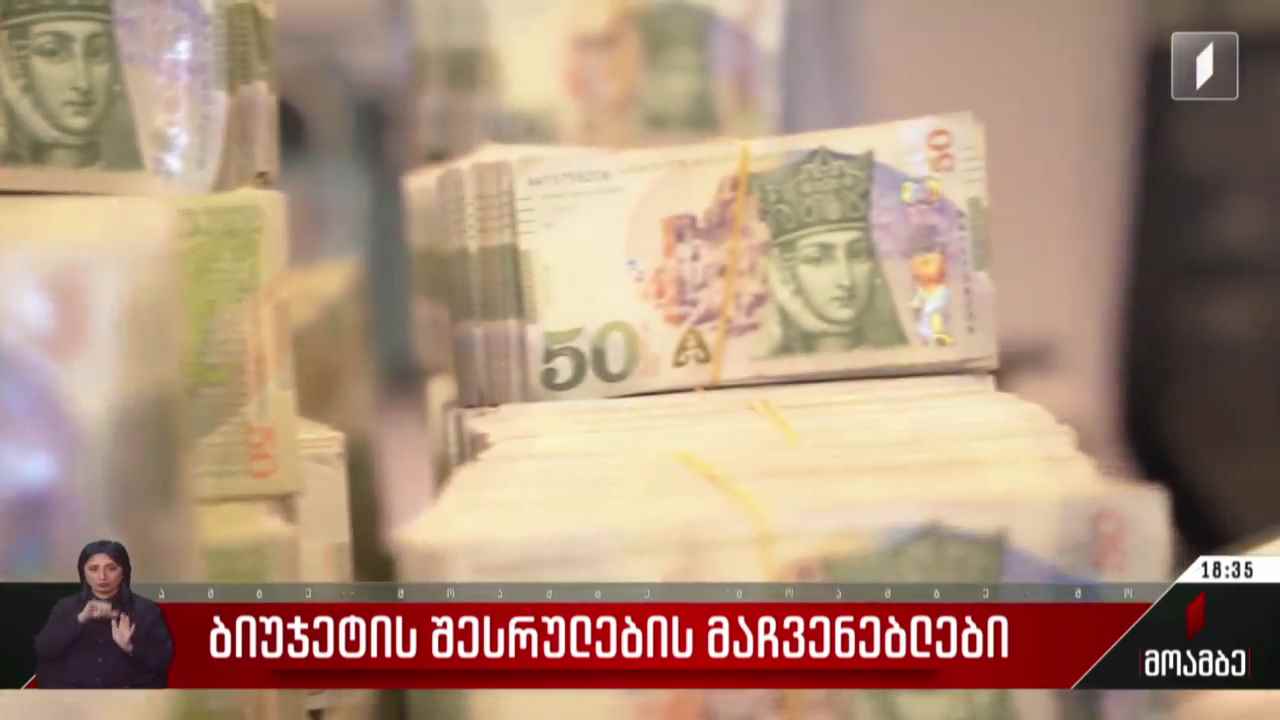 ბიუჯეტის შესრულების მაჩვენებლები