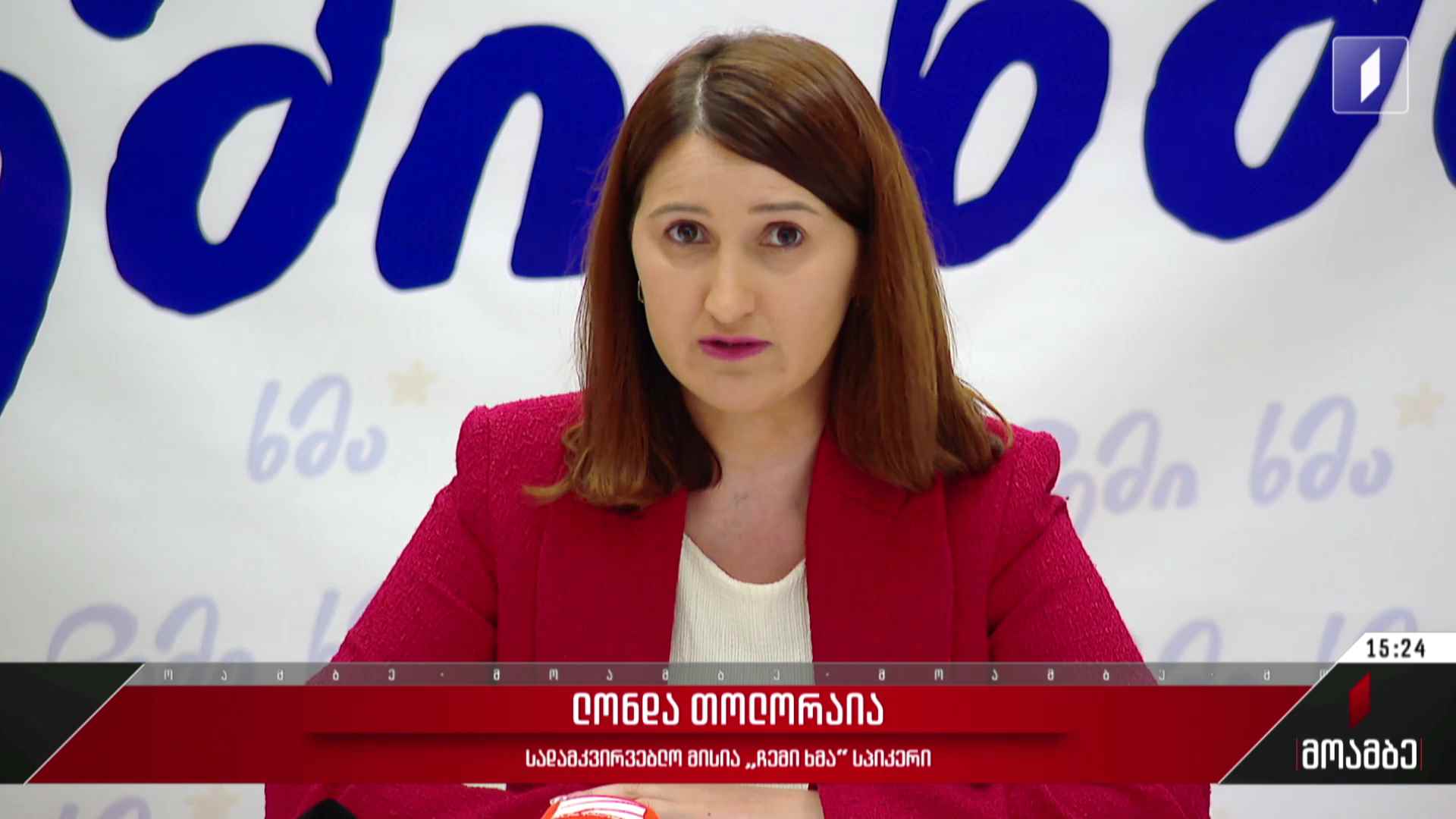 საარჩევნო გარემო შეაფასა სადამკვირვებლო მისიამ „ჩემი ხმა“