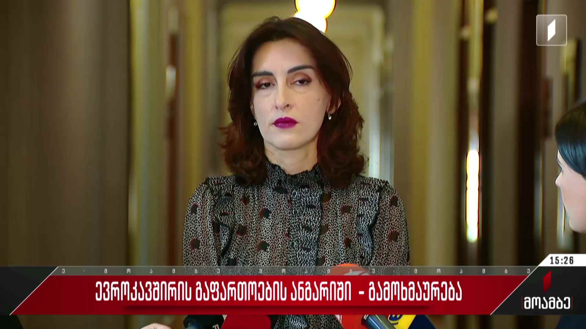 ევროკავშირის გაფართოების ანგარიში - გამოხმაურება