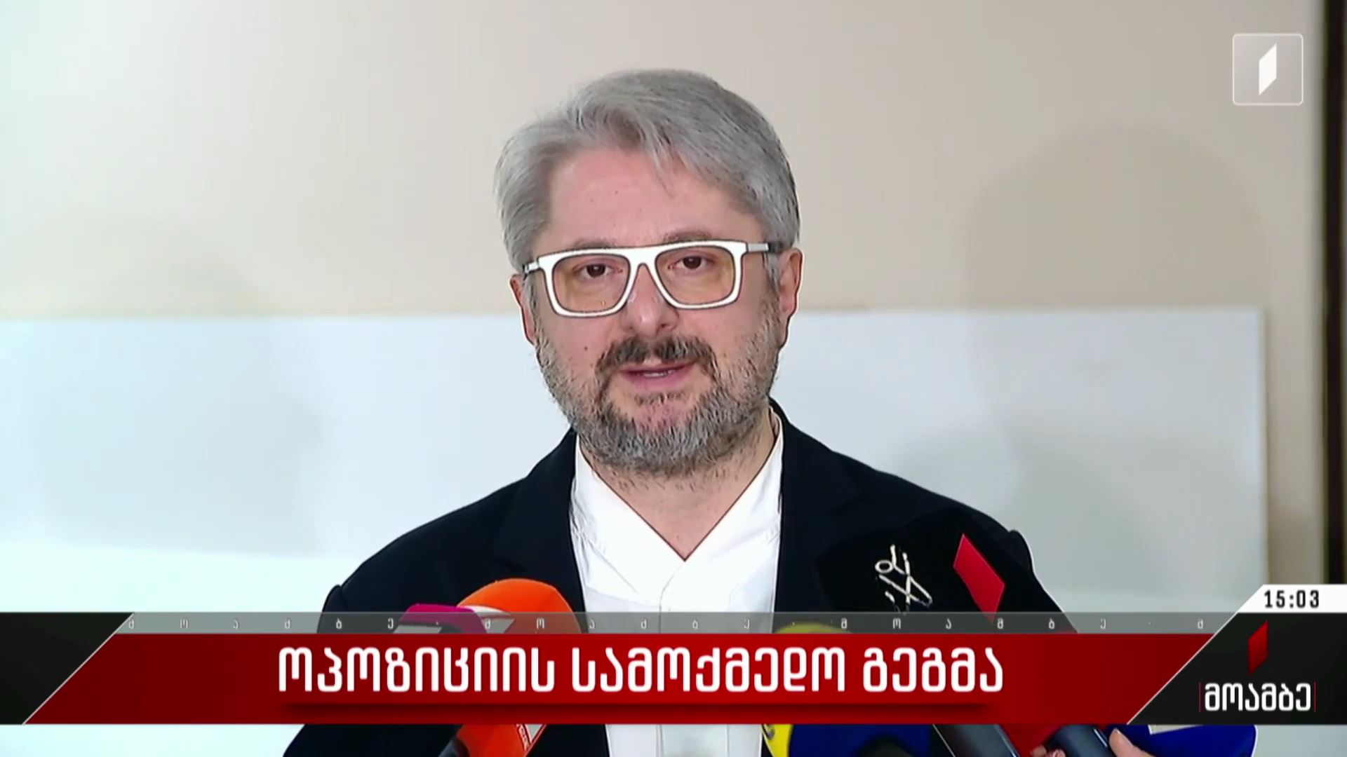 ოპოზიციის სამოქმედო გეგმა