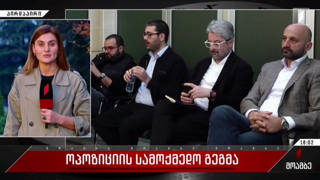 ოპოზიციის სამოქმედო გეგმა