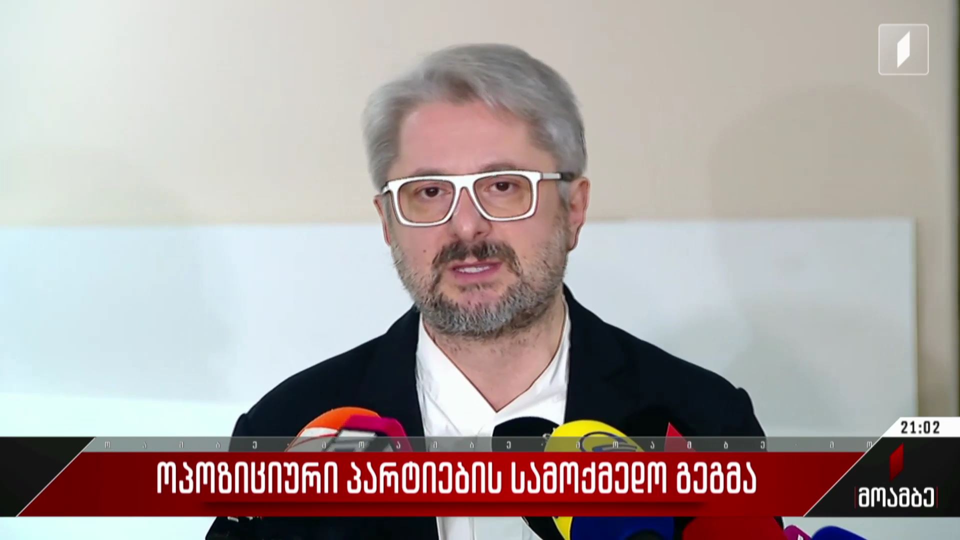 ოპოზიციური პარტიების სამოქმედო გეგმა