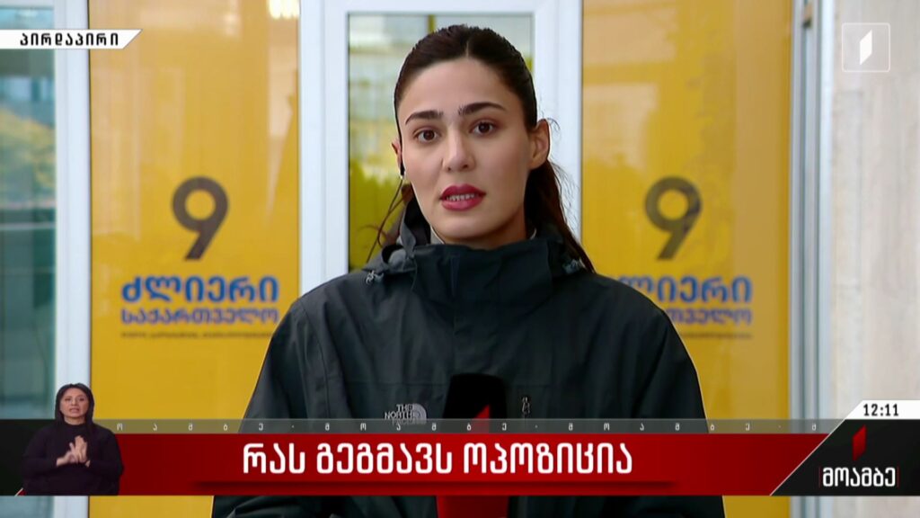 რას გეგმავს ოპოზიცია