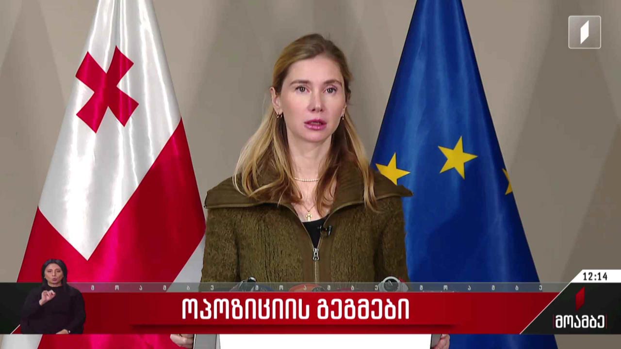 ოპოზიციის გეგმები