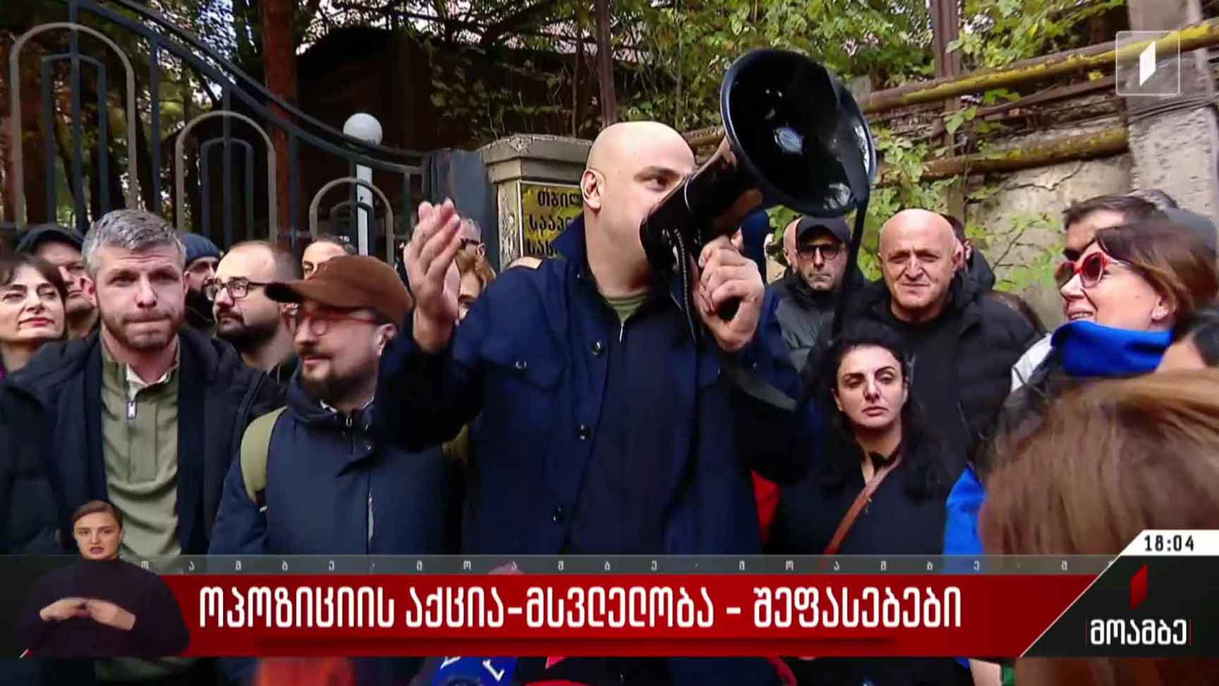 ოპოზიციის აქცია-მსვლელობა - შეფასებები