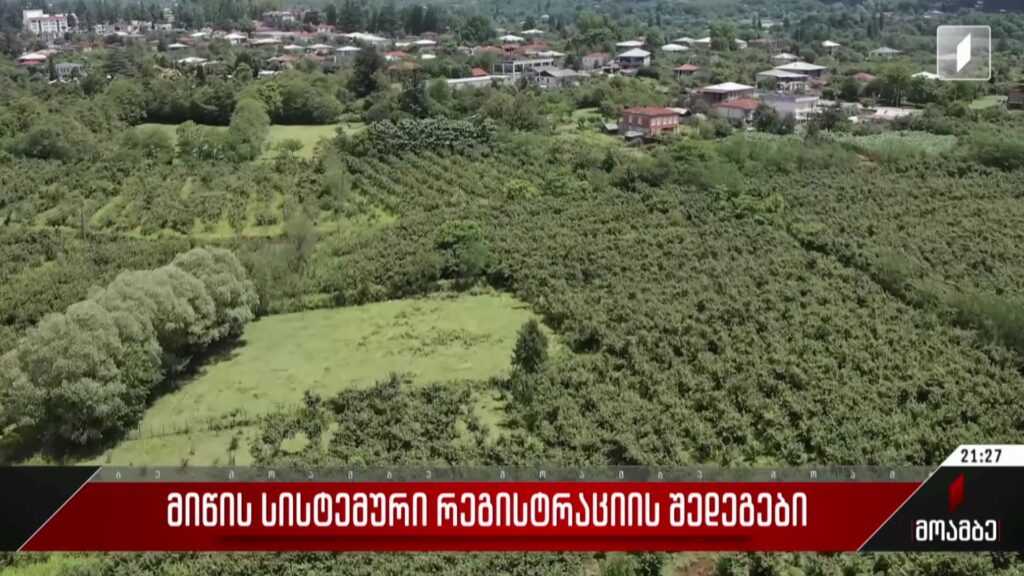 მიწის სისტემური რეგისტრაციის შედეგები