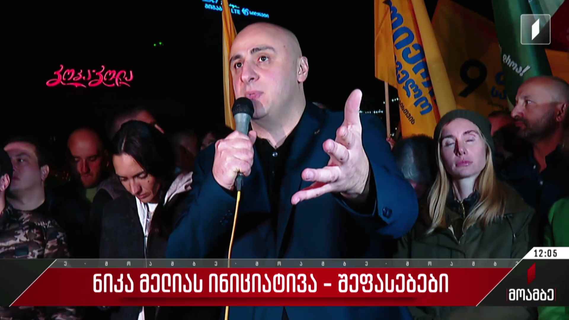 ნიკა მელიას ინიციატივა - შეფასებები