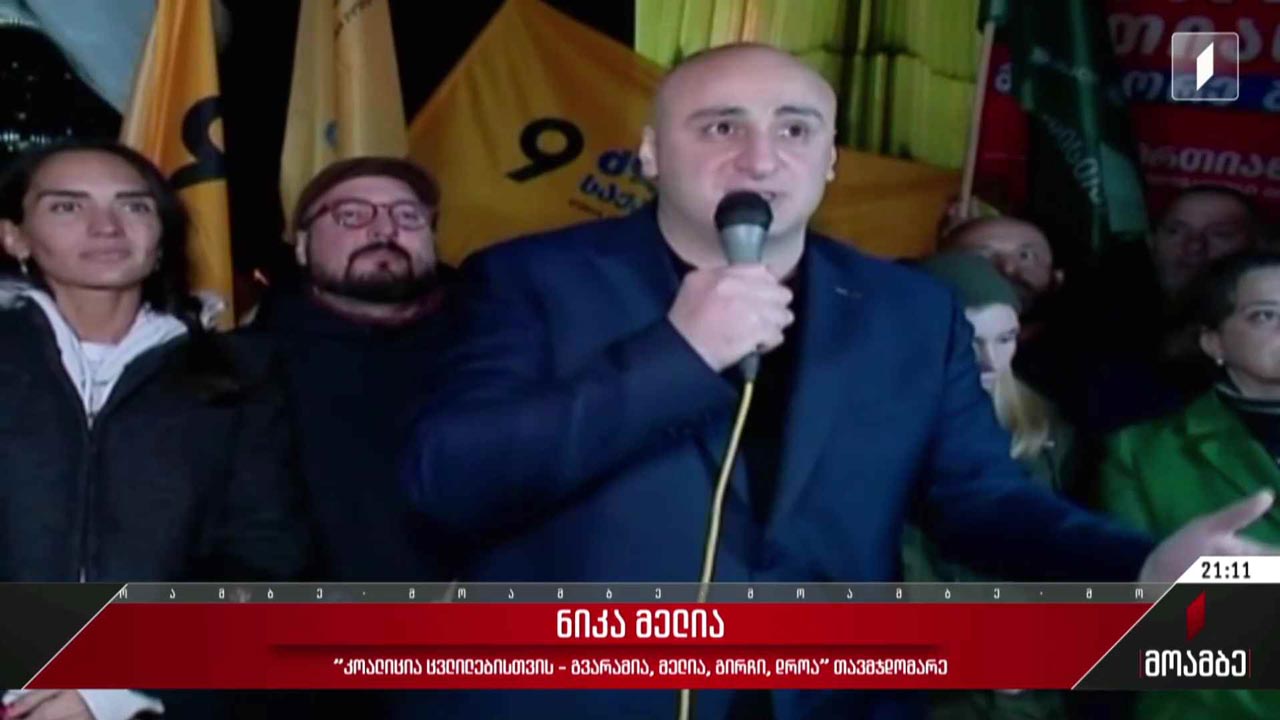 ნიკა მელიას ინიციატივა