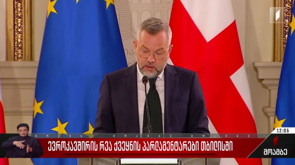 ევროკავშირის რვა ქვეყნის პარლამენტარები თბილისში