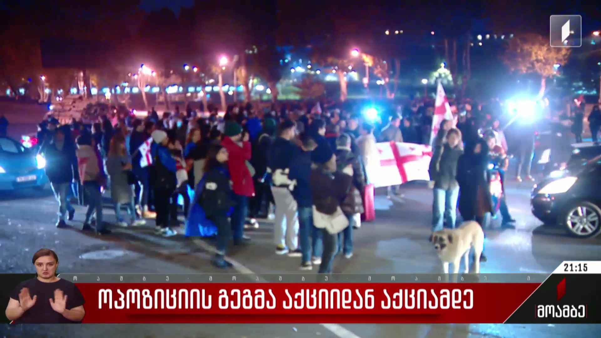 ოპოზიციის გეგმა აქციიდან აქციამდე