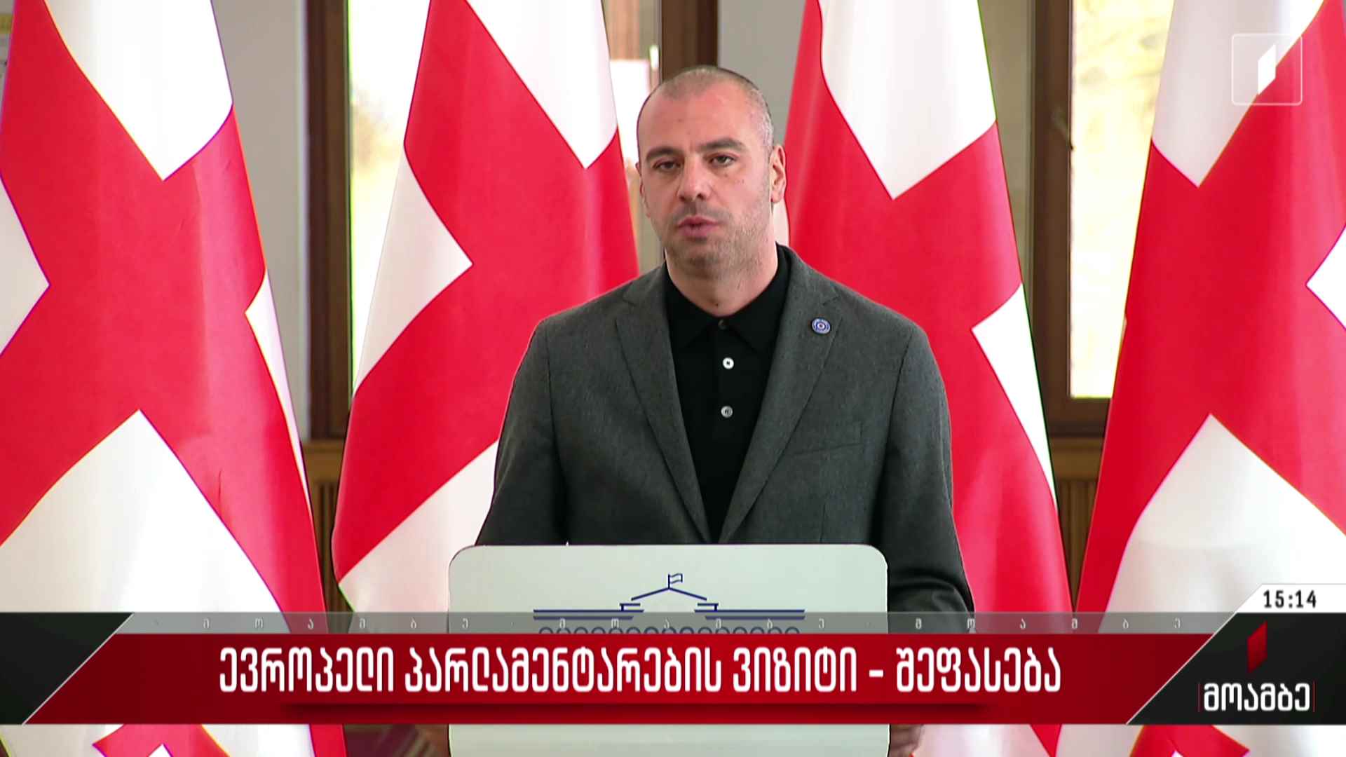 ევროპელი პარლამენტარების ვიზიტი - შეფასება