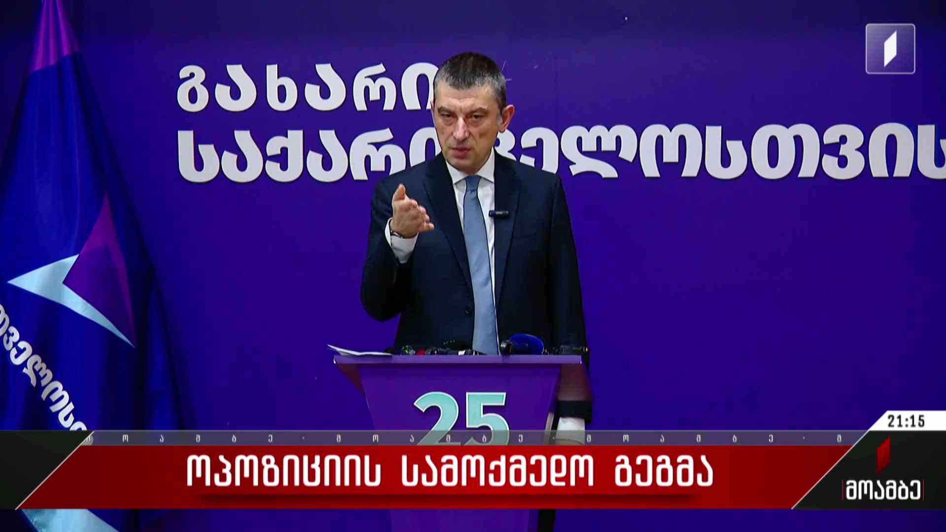 ოპოზიციის სამოქმედო გეგმა