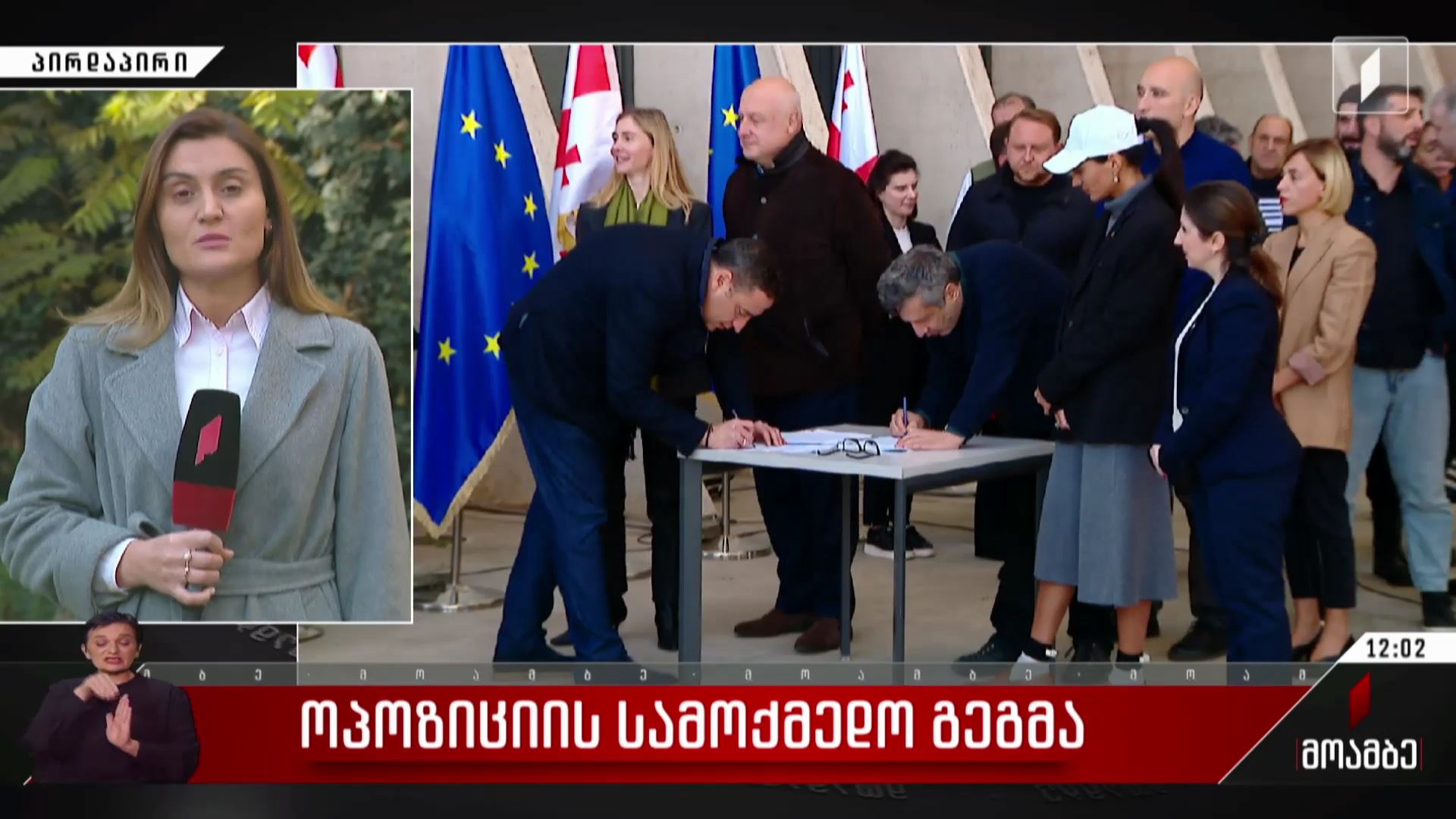 ოპოზიციის სამოქმედო გეგმა