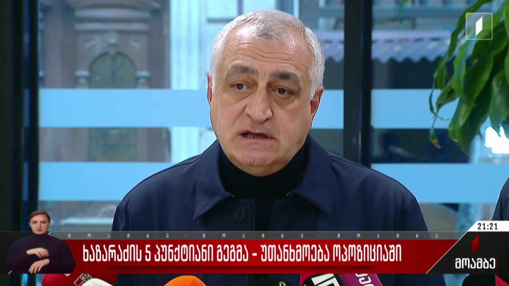 ხაზარაძის 5-პუნტქიანი გეგმა – უთანხმოება ოპოზიციაში