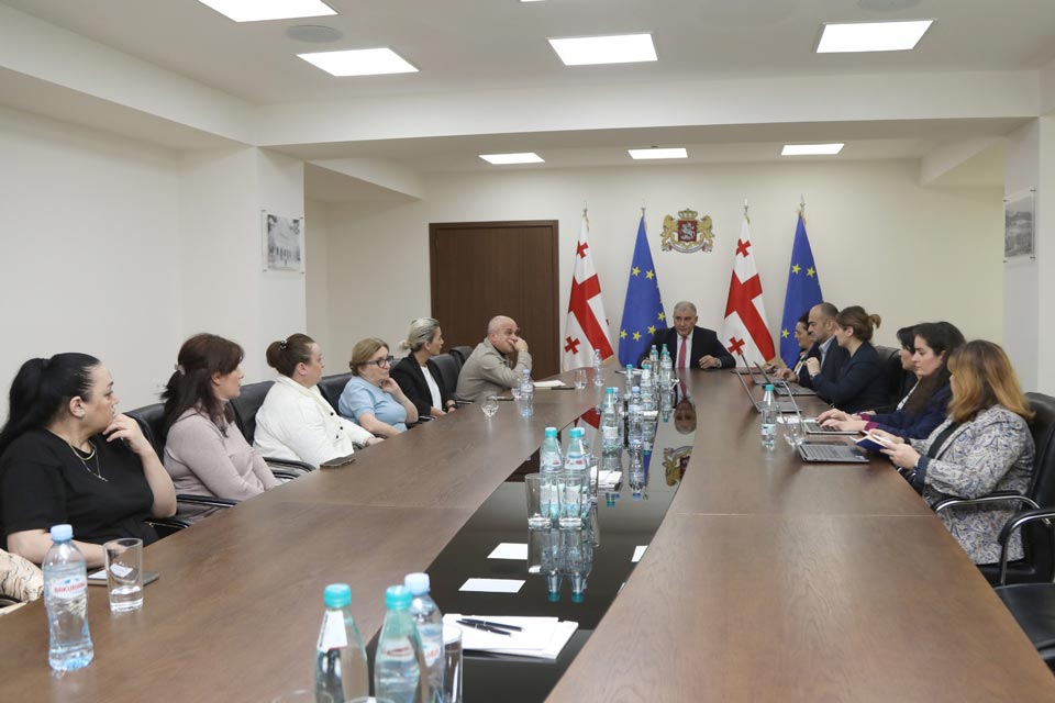 მიხეილ სარჯველაძე იშვიათი დაავადებების მქონე ბავშვების მშობლებს შეხვდა