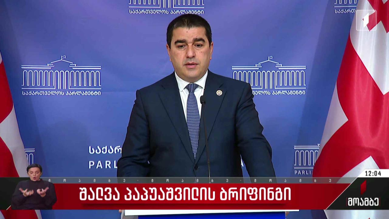 შალვა პაპუაშვილის ბრიფინგი