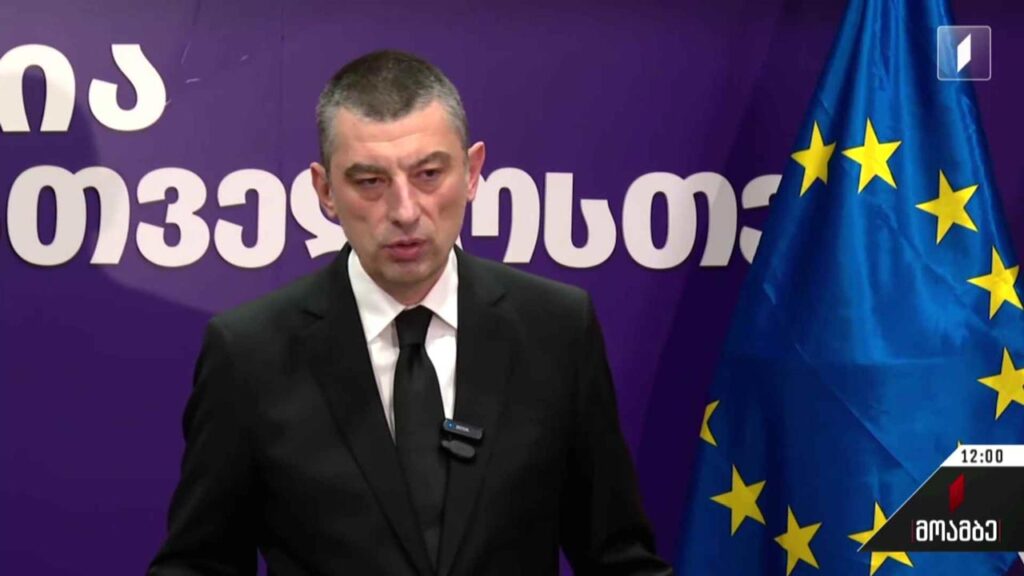 „გახარია საქართველოსთვის“ გადაწყვეტილება – შეფასებები