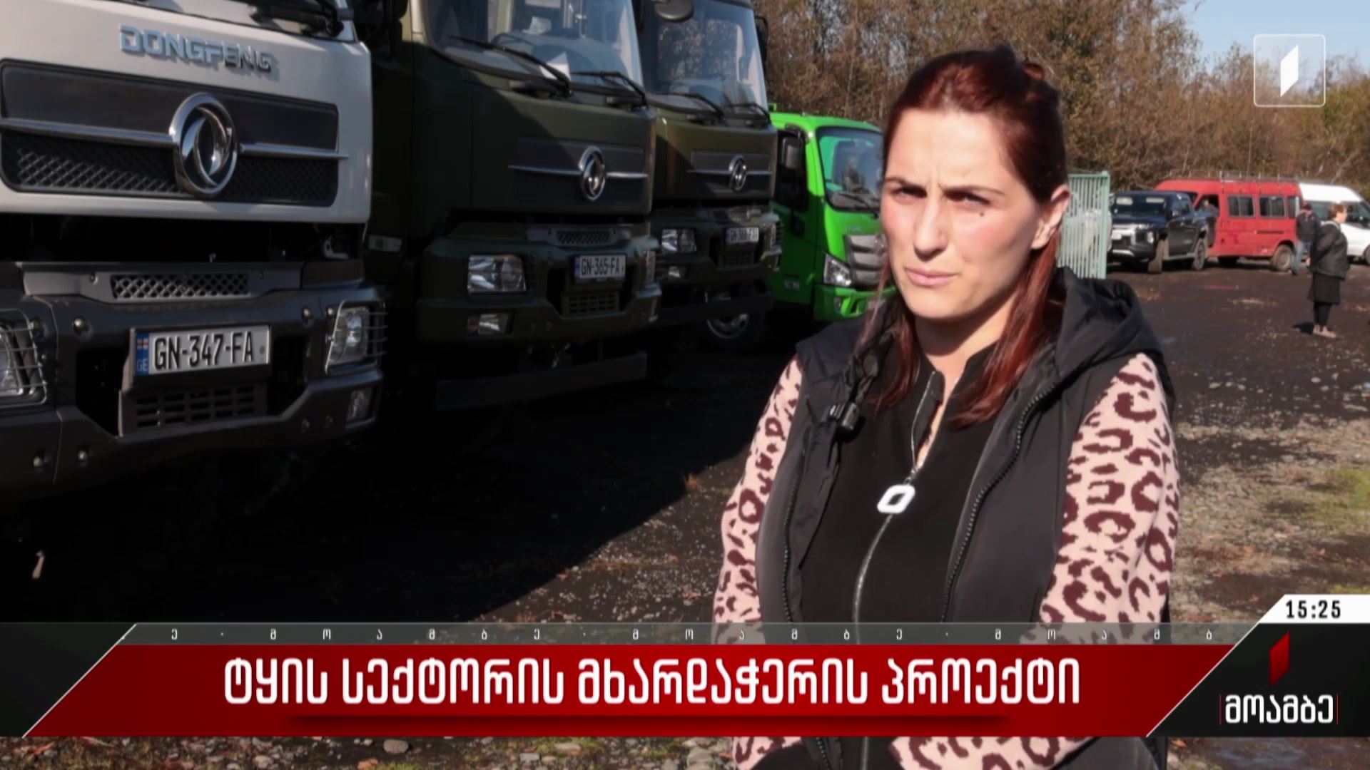 ტყის სექტორის მხარდაჭერის პროექტი