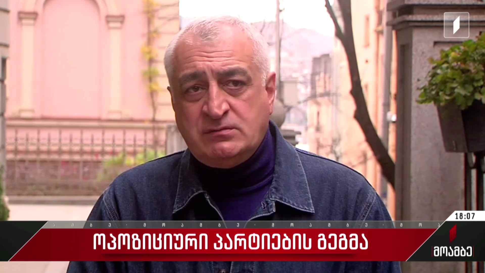 ოპოზიციური პარტიების გეგმა