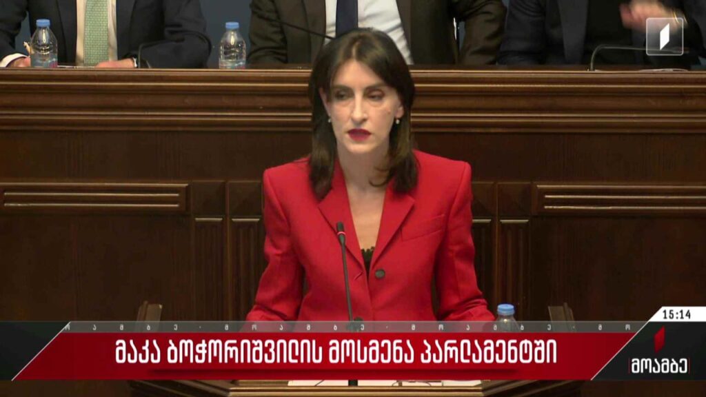 მაკა ბოჭორიშვილის მოსმენა პარლამენტში