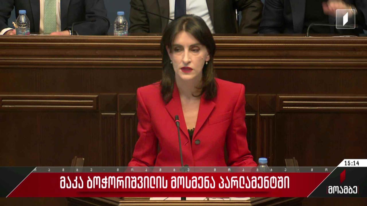 მაკა ბოჭორიშვილის მოსმენა პარლამენტში