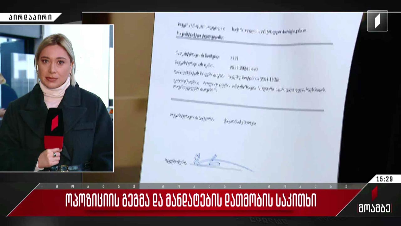 ოპოზიციის გეგმა და მანდატების დათმობის საკითხი